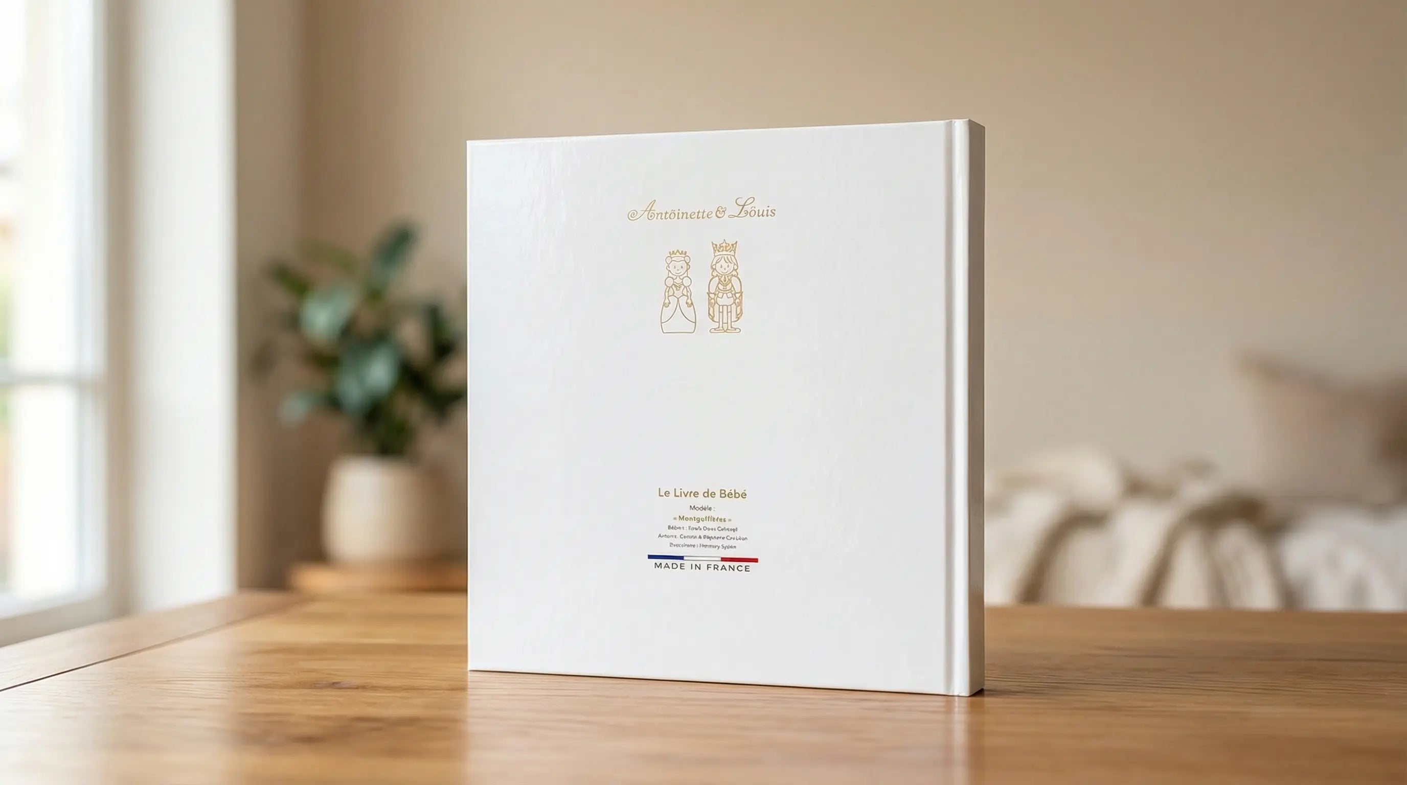 Album photo naissance Montgolfière