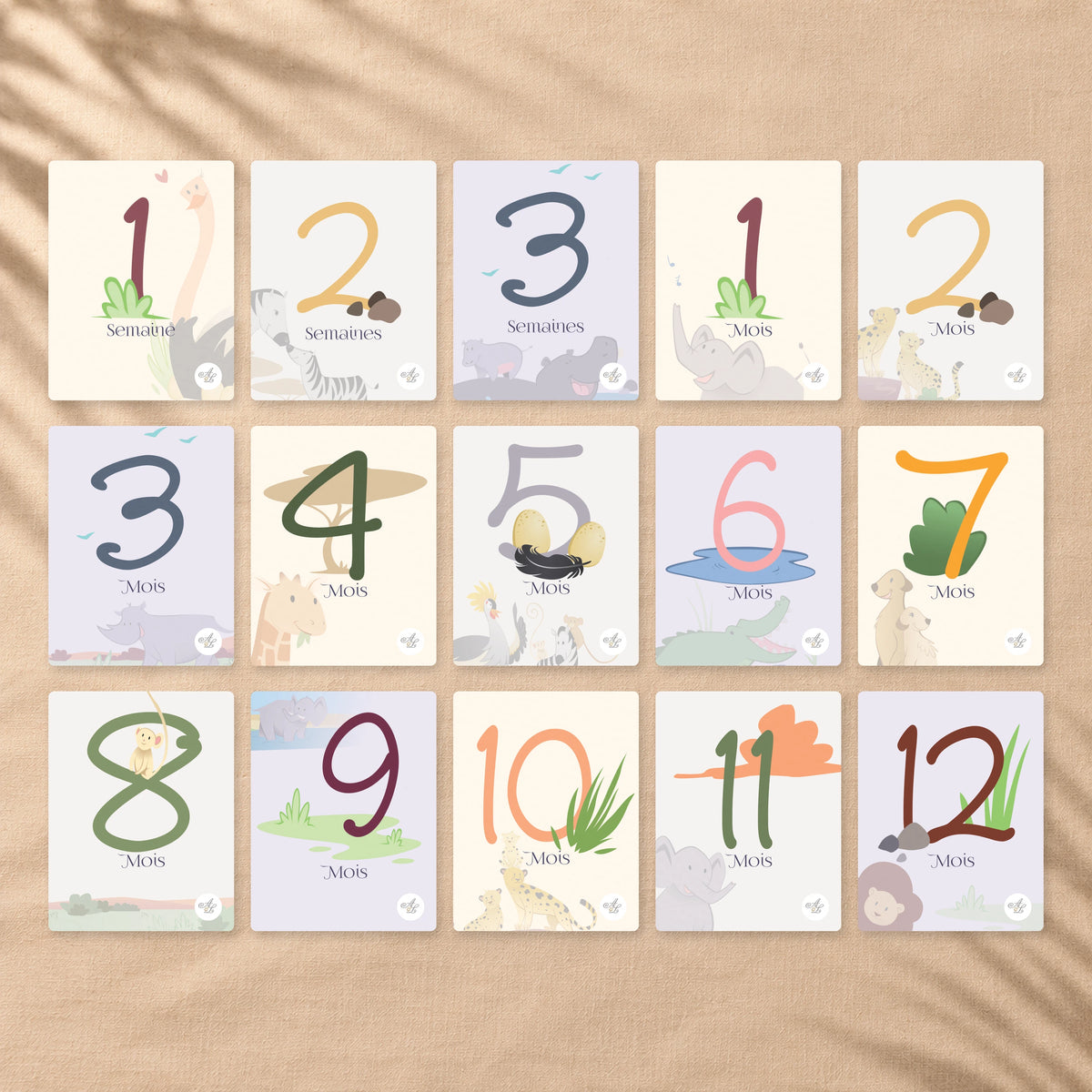 Cartes étapes bébé Jungle